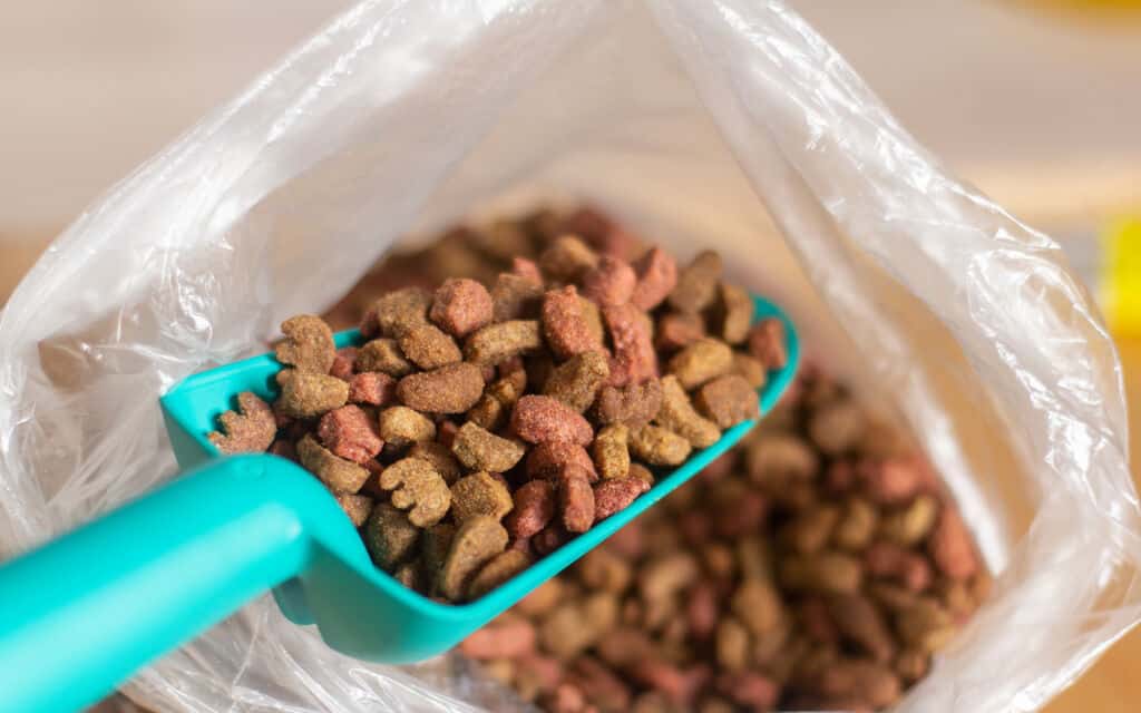 Cat dry food is collected in a scoop for feeding