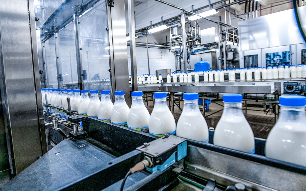 Milk - dairy - production at factory. White bottles with going through conveyor line